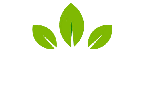 Dr. Vamsi Krishna Mohan's SVR Homoeopathy Clinic