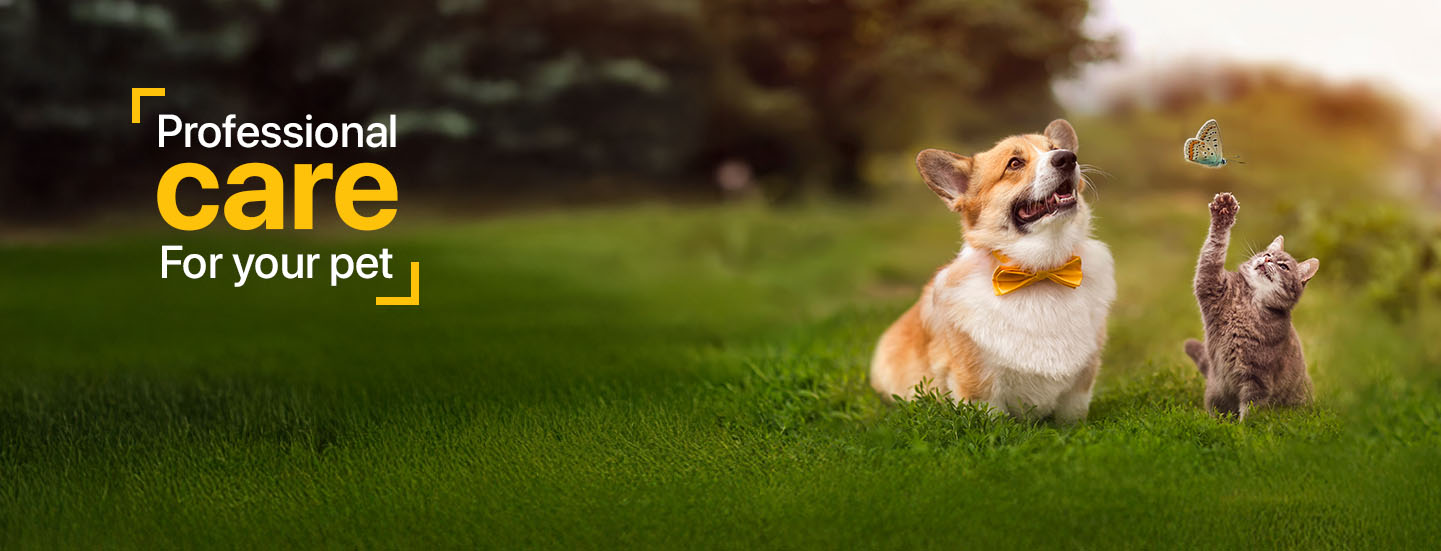 Akshara Pet Hospital in SRK Nagara, Shirdi Sai Nagar